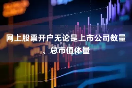 网上股票开户无论是上市公司数量、总市值体量