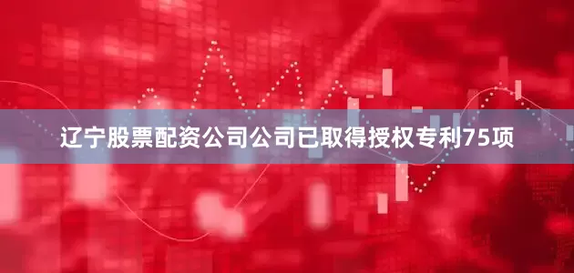 辽宁股票配资公司公司已取得授权专利75项