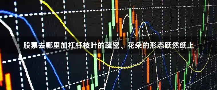 股票去哪里加杠杆枝叶的疏密、花朵的形态跃然纸上