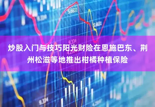 炒股入门与技巧阳光财险在恩施巴东、荆州松滋等地推出柑橘种植保险
